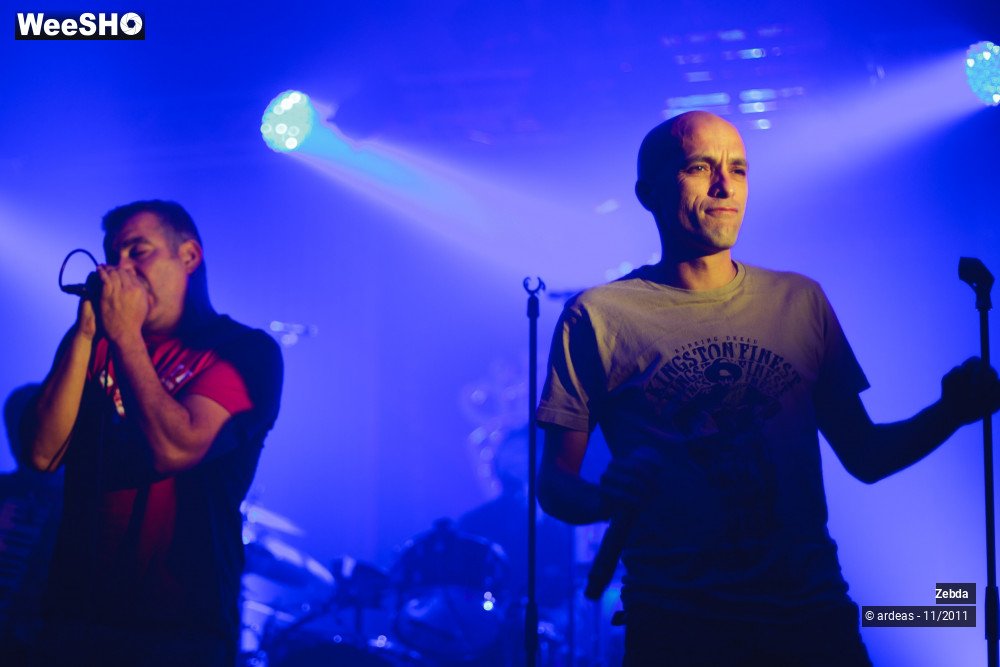 21/31 photos du spectacle Zebda