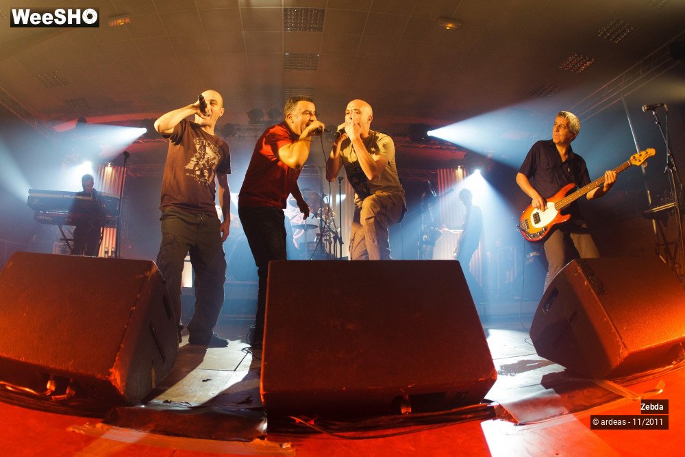 24/31 photos du spectacle Zebda