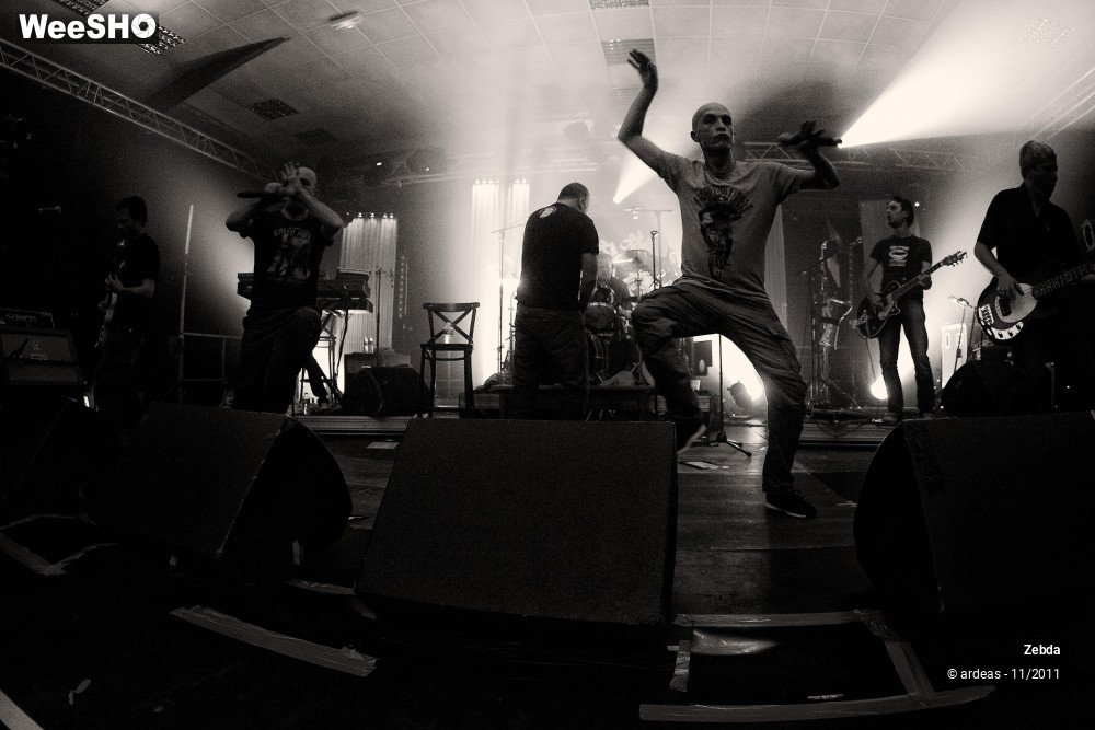 25/31 photos du spectacle Zebda