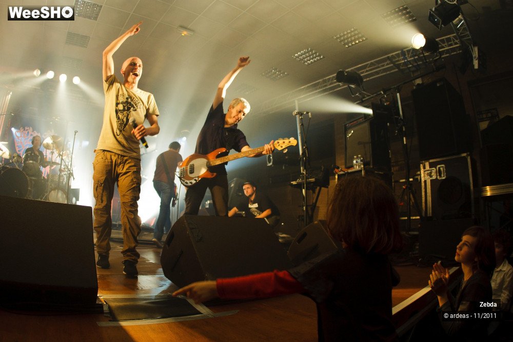 26/31 photos du spectacle Zebda