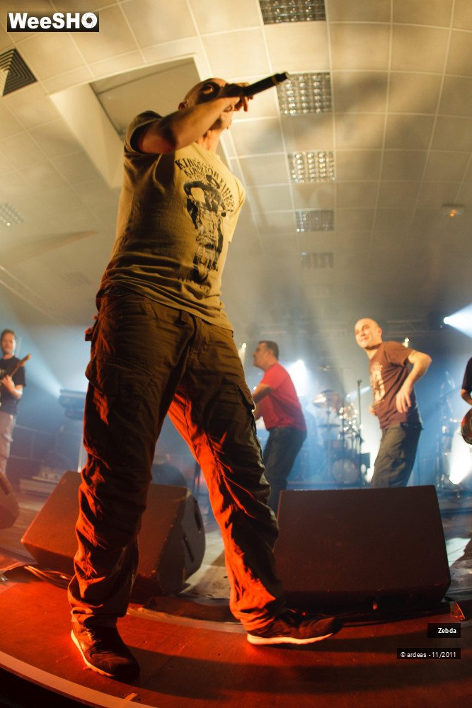 29/31 photos du spectacle Zebda