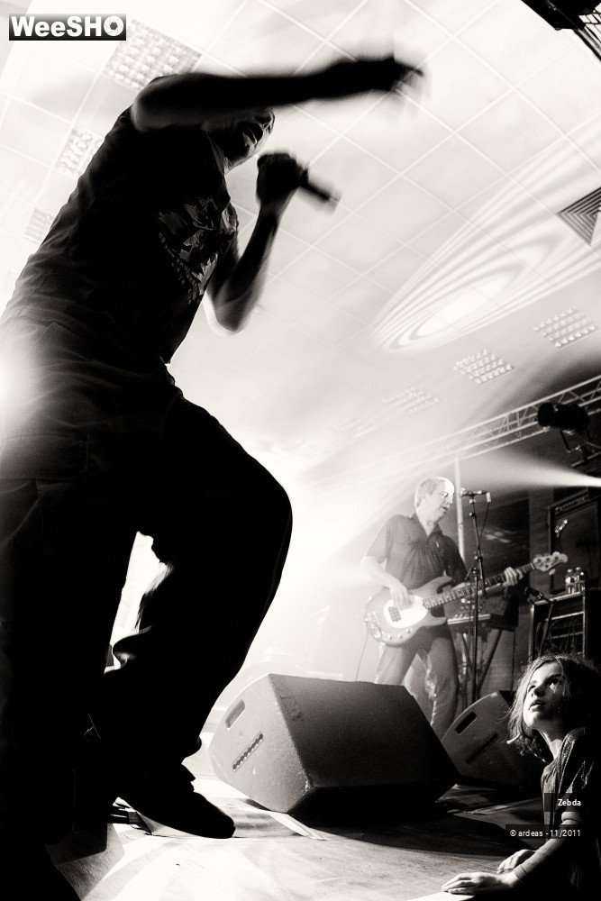 30/31 photos du spectacle Zebda