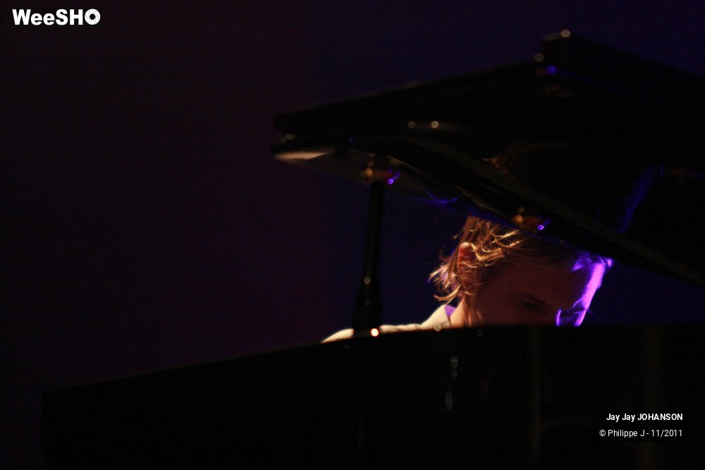 15/28 photos du spectacle Jay Jay Johanson