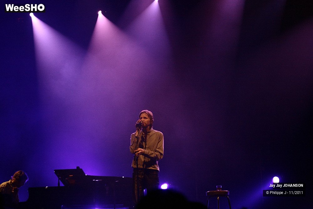 20/28 photos du spectacle Jay Jay Johanson
