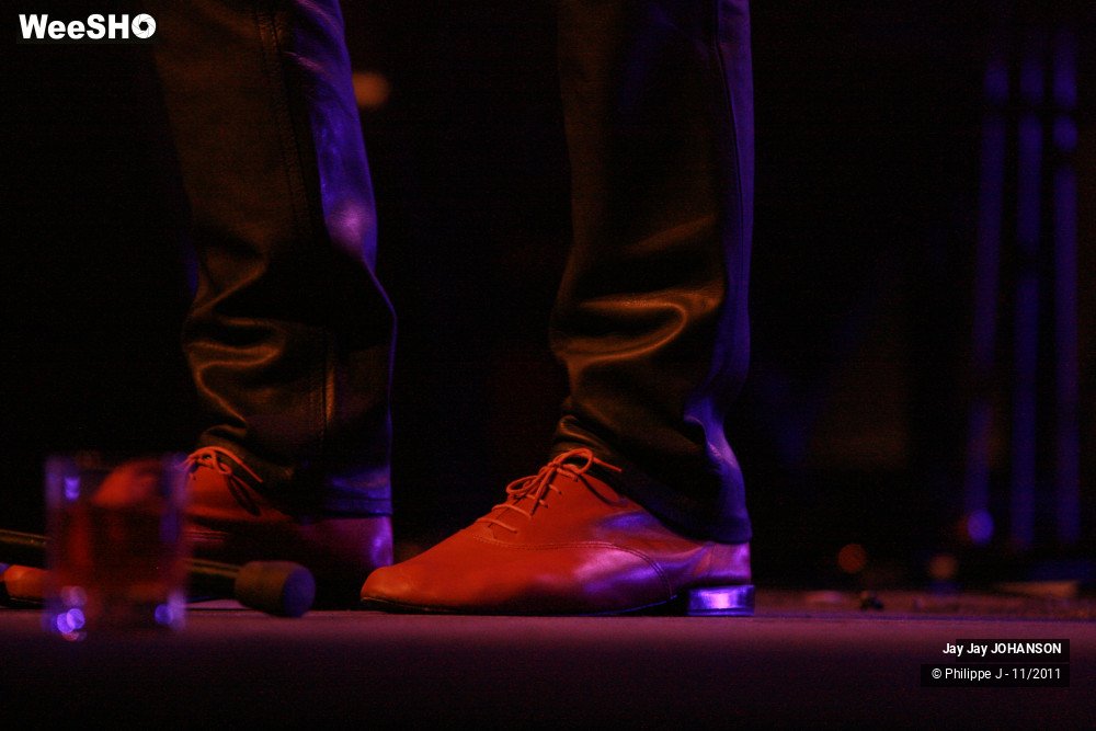 21/28 photos du spectacle Jay Jay Johanson