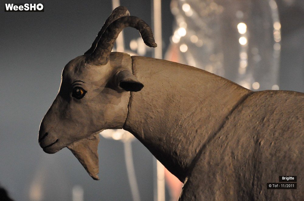 1/40 photos du spectacle Brigitte