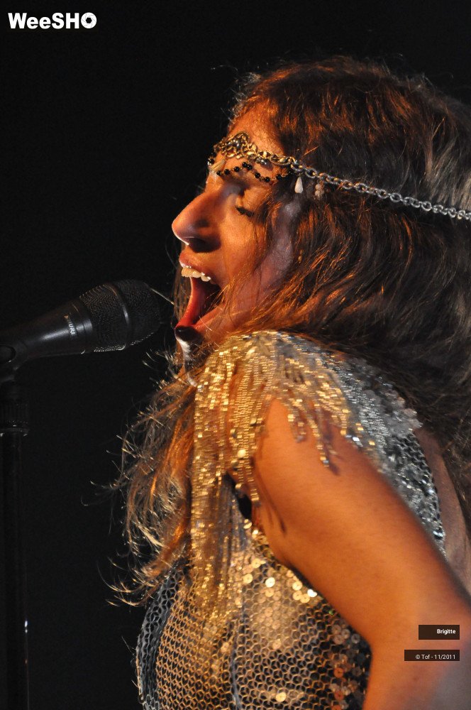 39/40 photos du spectacle Brigitte