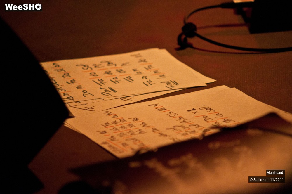 11/23 photos du spectacle Marshland