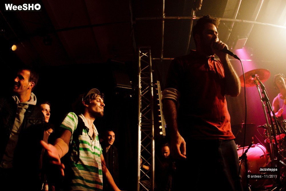 14/32 photos du spectacle Jazzsteppa