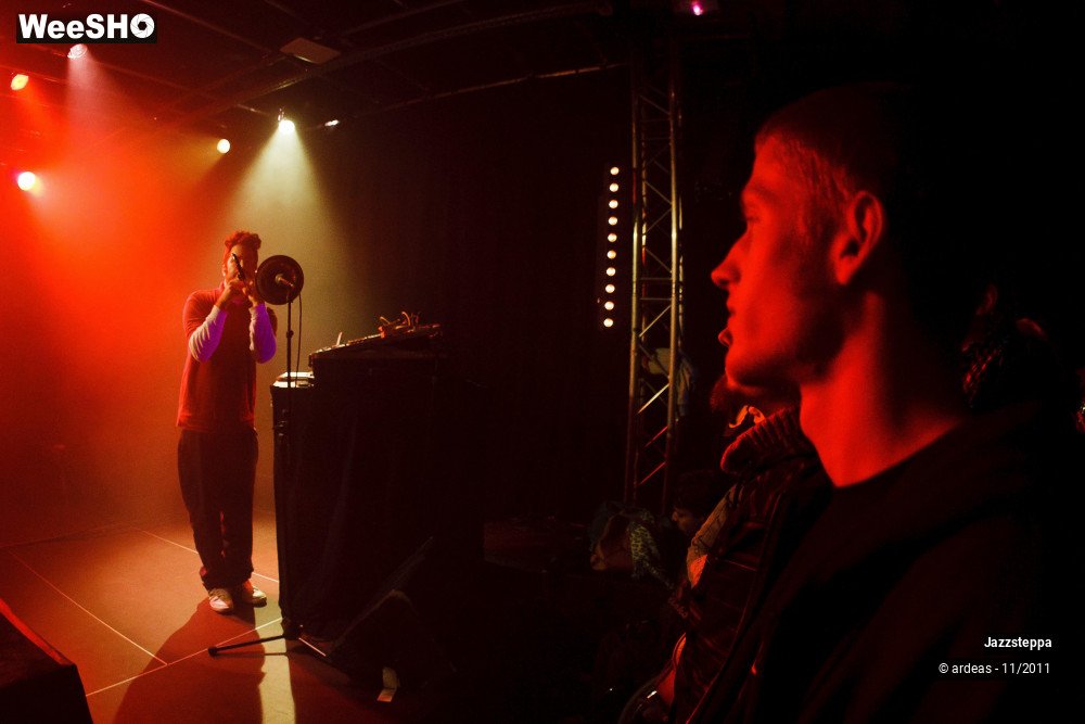 15/32 photos du spectacle Jazzsteppa