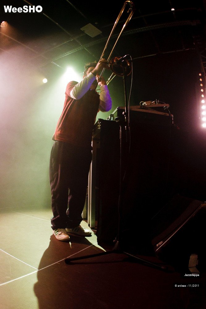 27/32 photos du spectacle Jazzsteppa