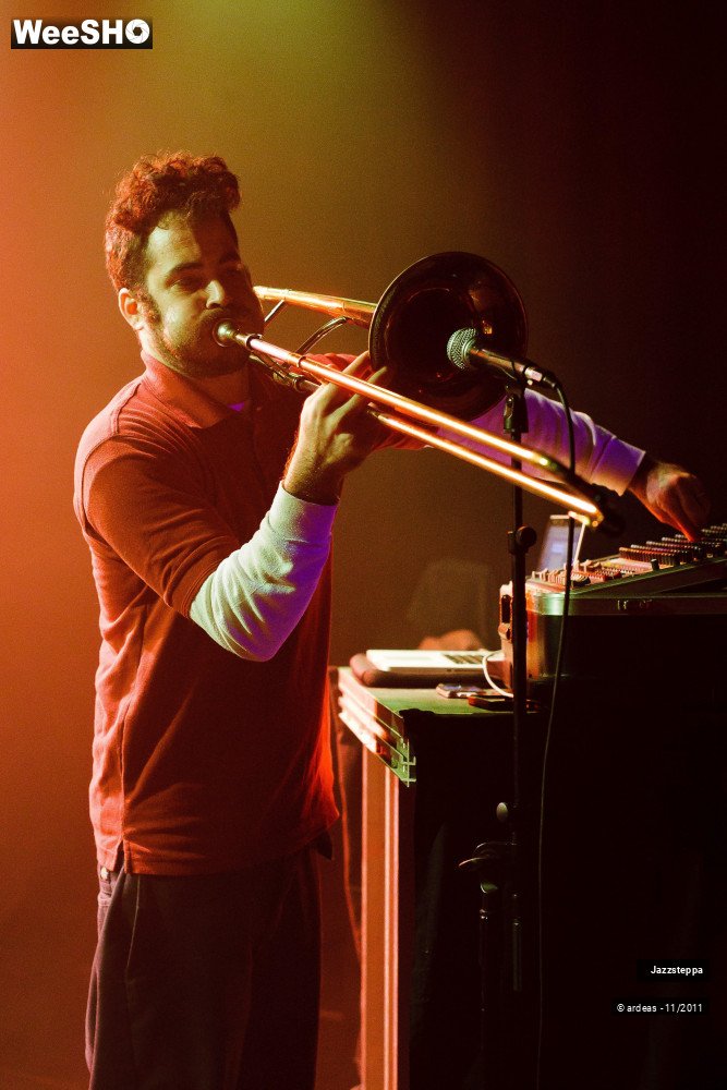 28/32 photos du spectacle Jazzsteppa