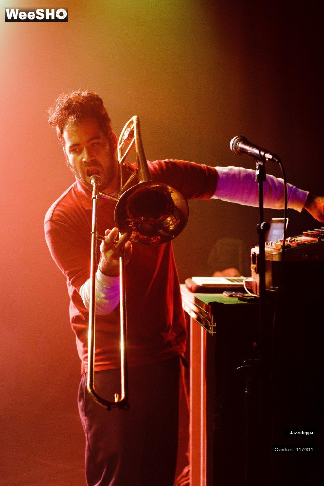 31/32 photos du spectacle Jazzsteppa