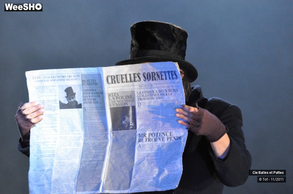 15/42 photos du spectacle Cruelles Sornettes
