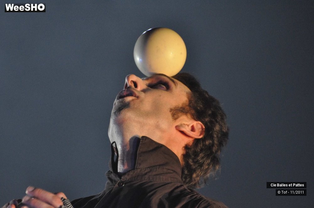 20/42 photos du spectacle Cruelles Sornettes