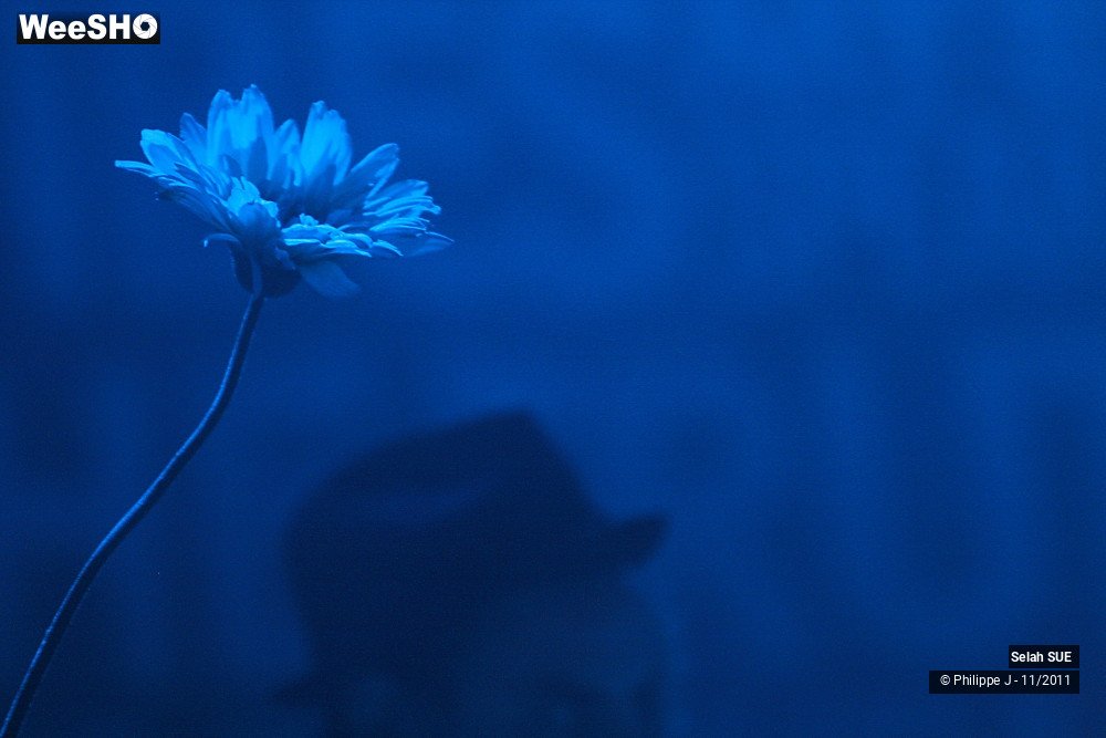 9/16 photos du spectacle Selah Sue