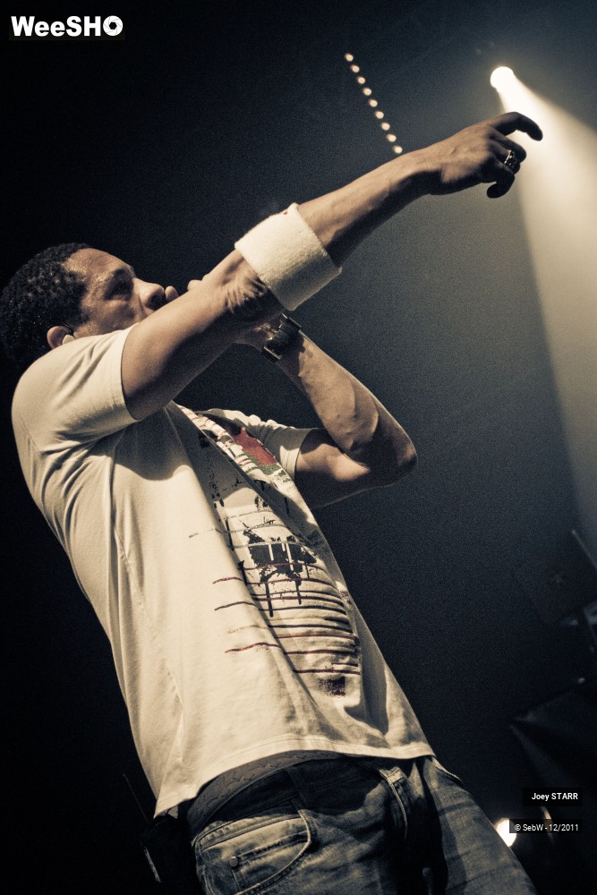 11/31 photos du spectacle Joey STARR