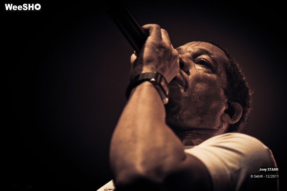 19/31 photos du spectacle Joey STARR