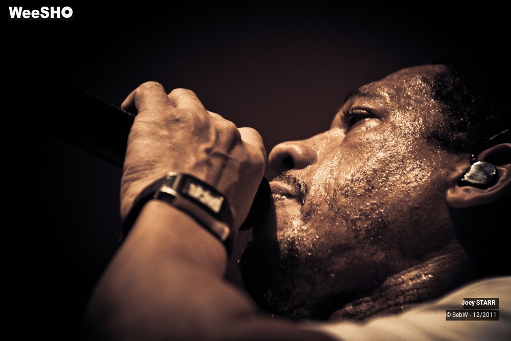 22/31 photos du spectacle Joey STARR