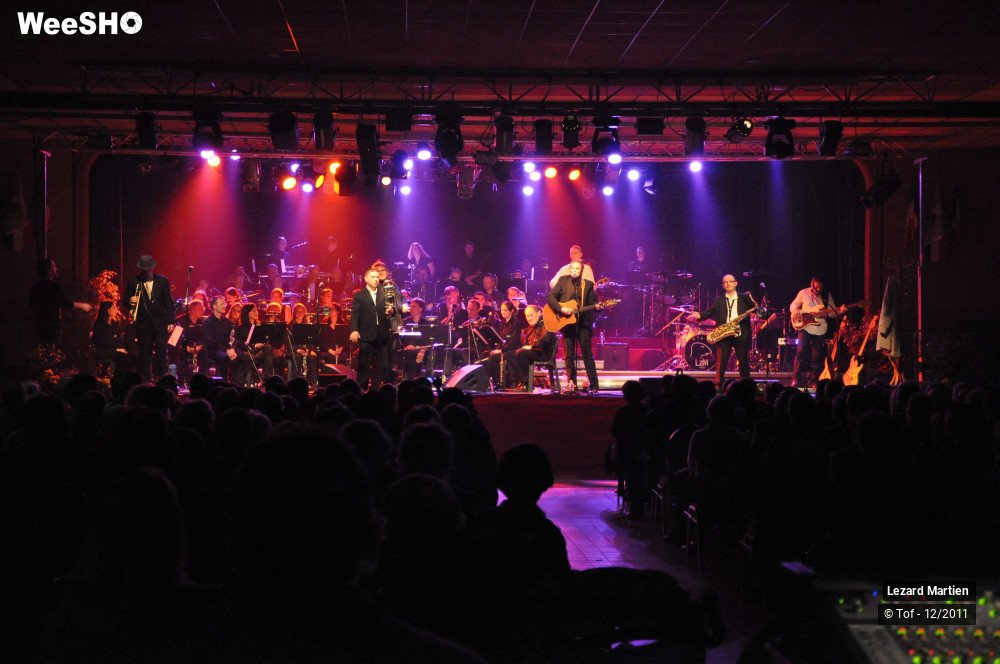 33/51 photos du spectacle Lézarmonic