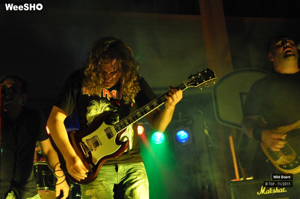 1/22 photos du spectacle Wildboars