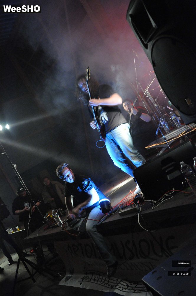 13/22 photos du spectacle Wildboars