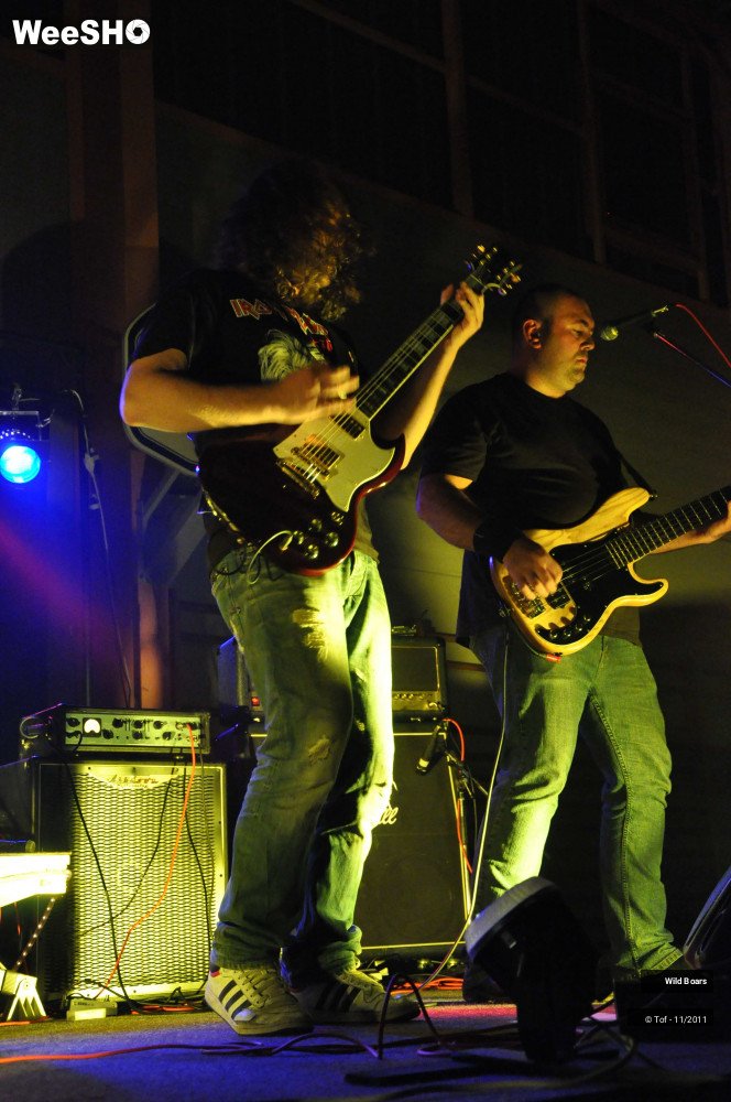 14/22 photos du spectacle Wildboars