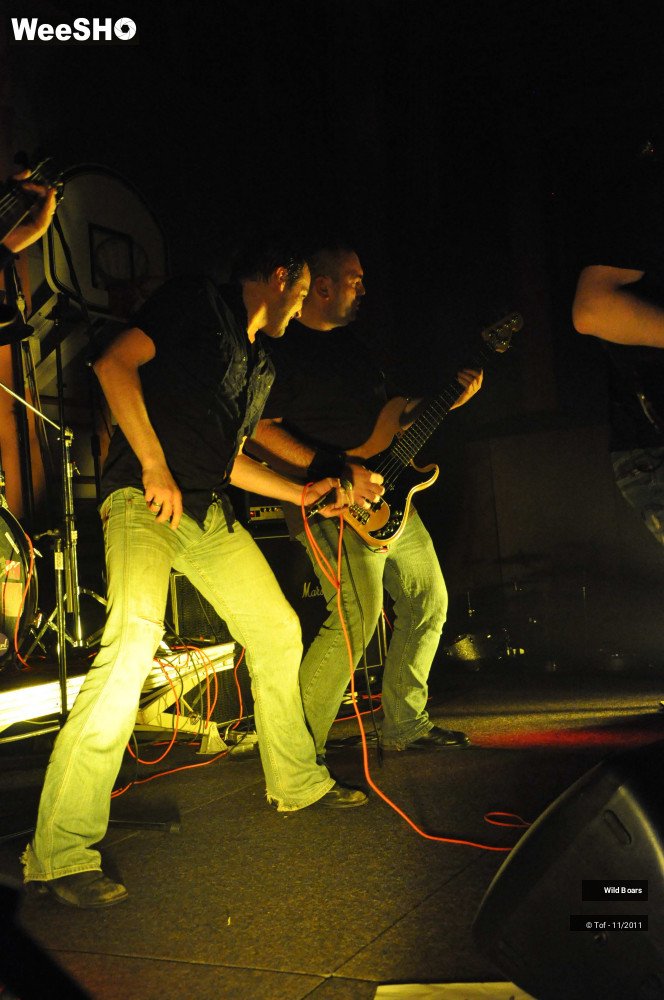 15/22 photos du spectacle Wildboars