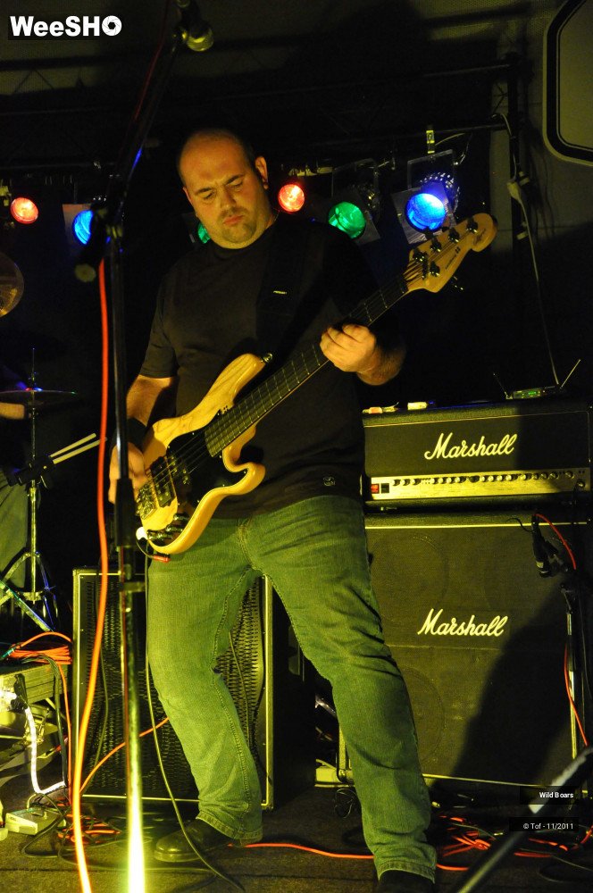 16/22 photos du spectacle Wildboars