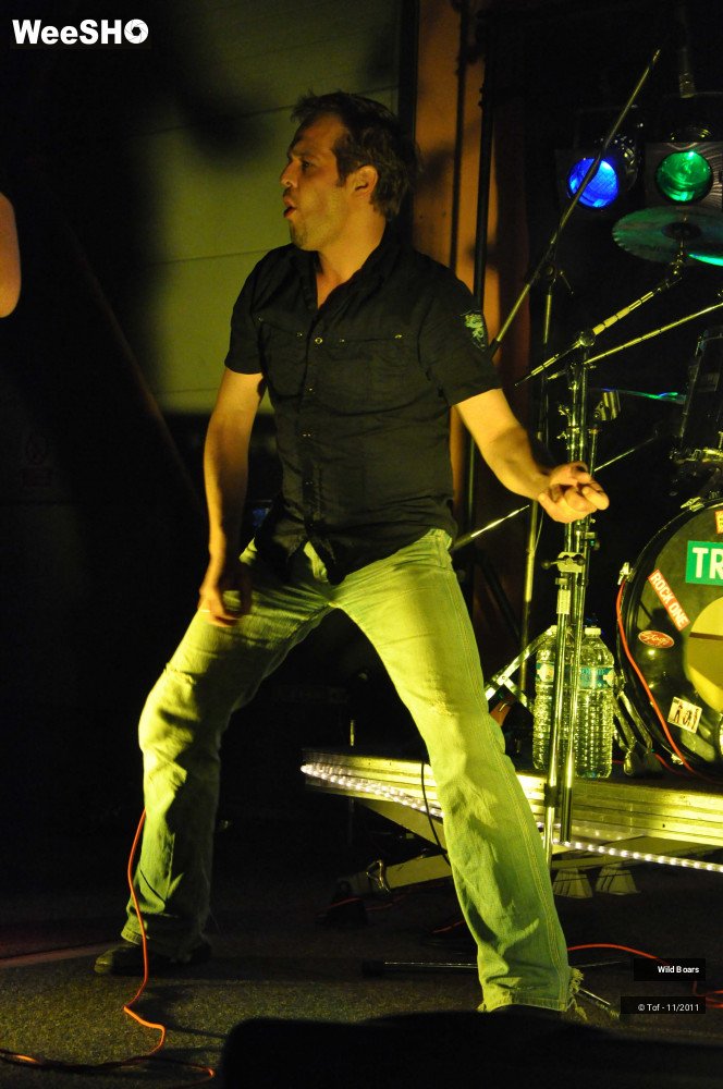 17/22 photos du spectacle Wildboars