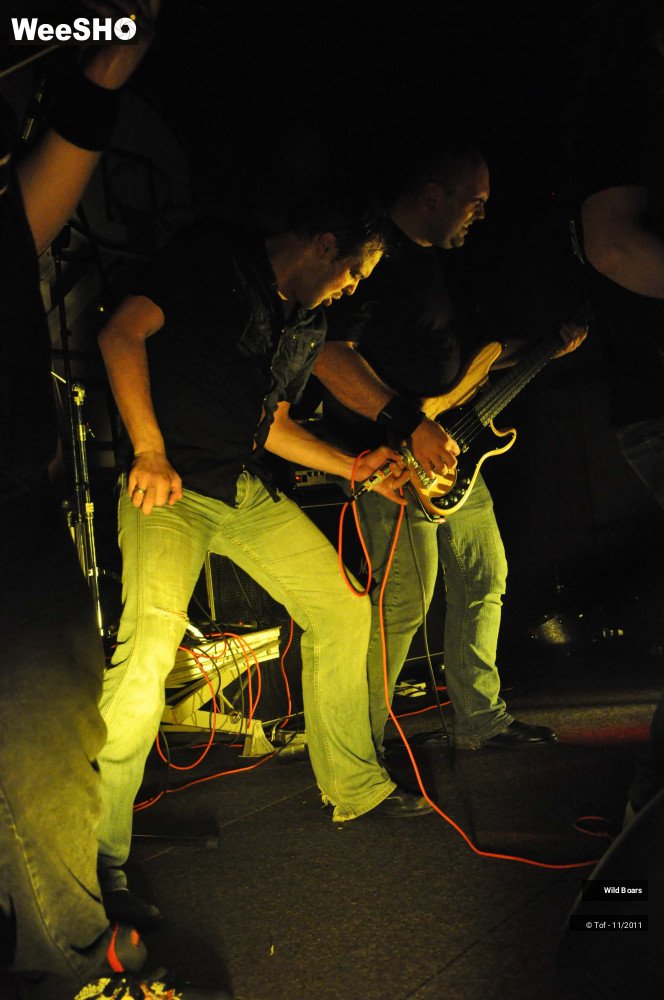 18/22 photos du spectacle Wildboars