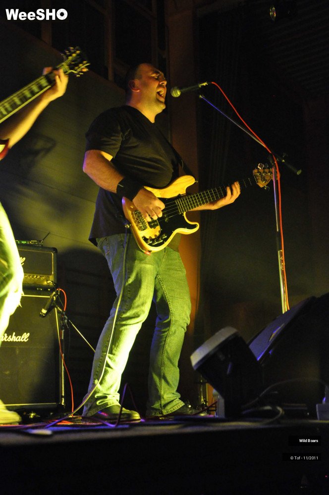 19/22 photos du spectacle Wildboars