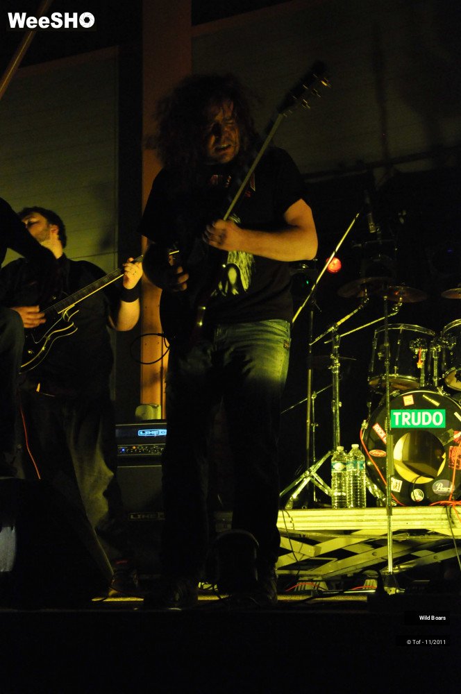 20/22 photos du spectacle Wildboars