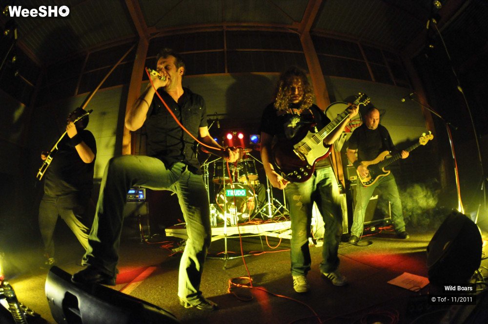 22/22 photos du spectacle Wildboars