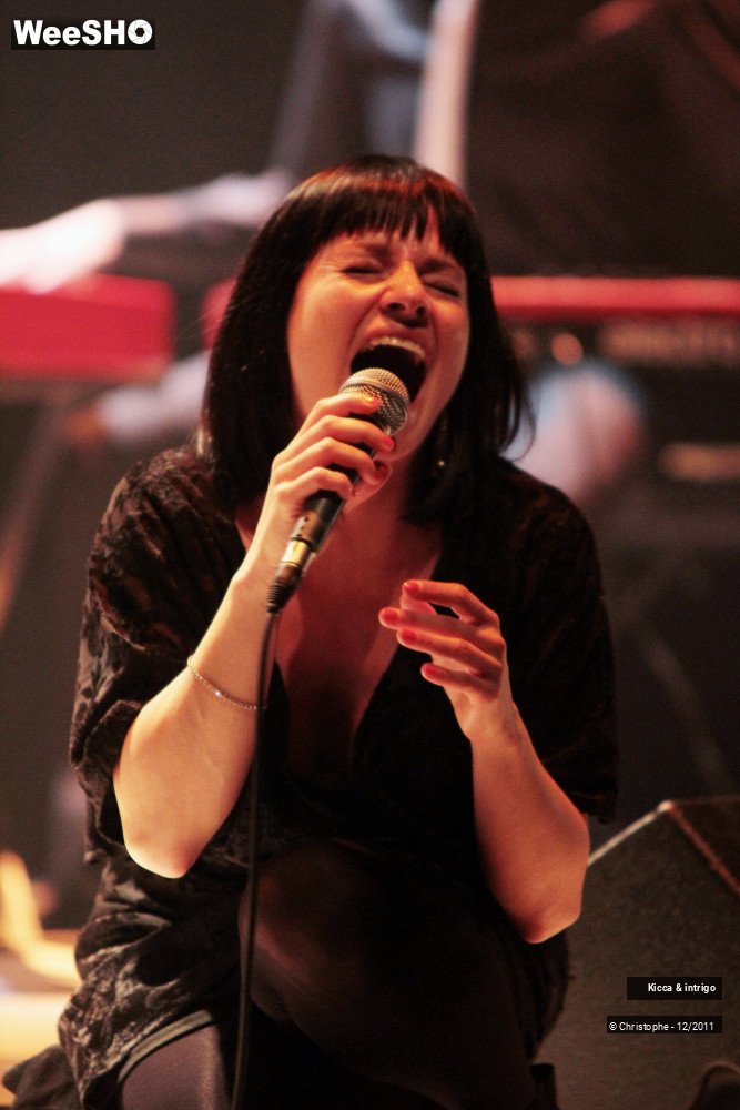 18/40 photos du spectacle Kicca & intrigo