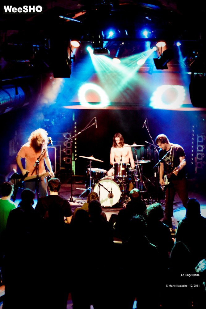 2/18 photos du spectacle Le Singe Blanc