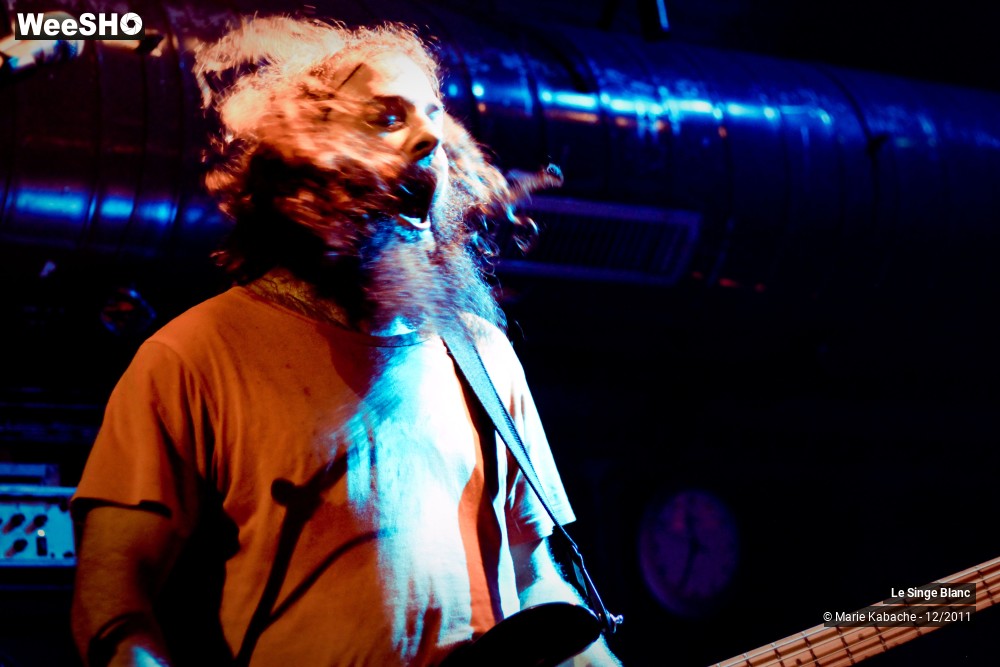 10/18 photos du spectacle Le Singe Blanc