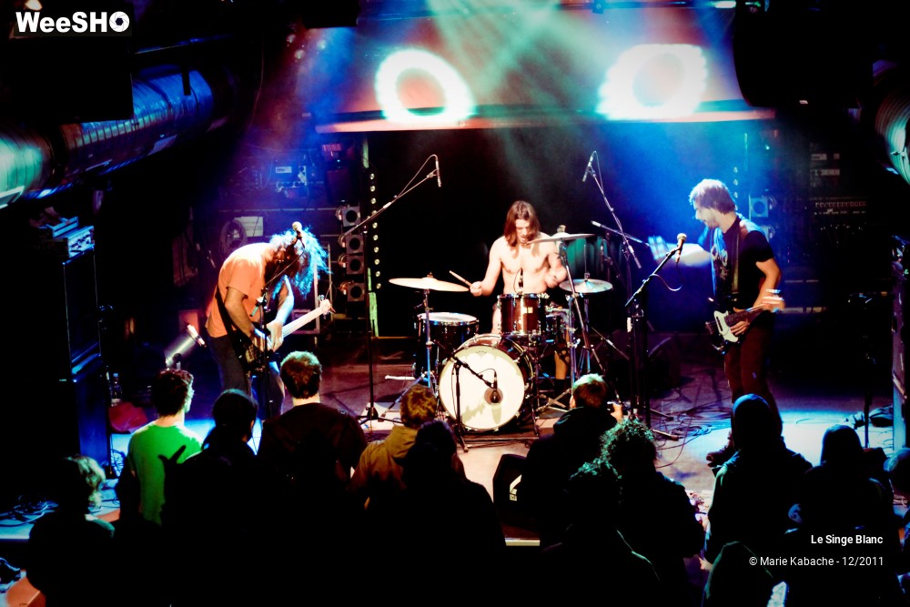 15/18 photos du spectacle Le Singe Blanc