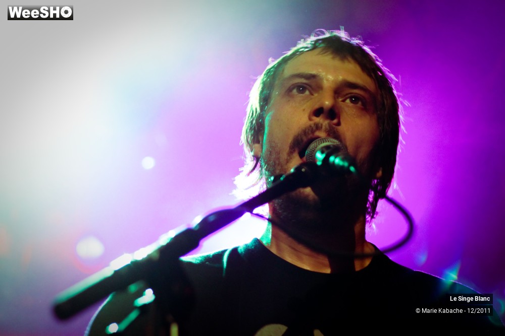 16/18 photos du spectacle Le Singe Blanc