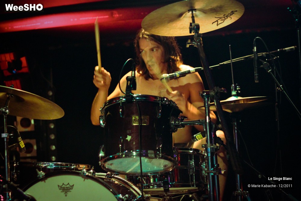 17/18 photos du spectacle Le Singe Blanc