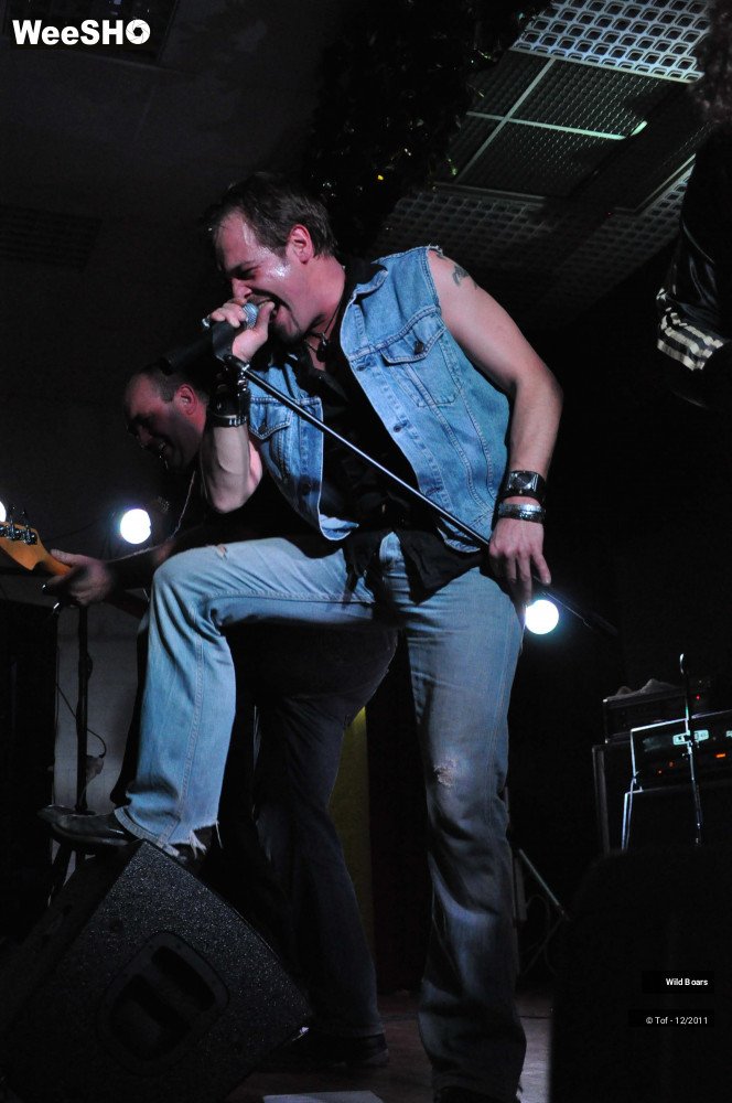 21/35 photos du spectacle Iron Maiden by Wildboars