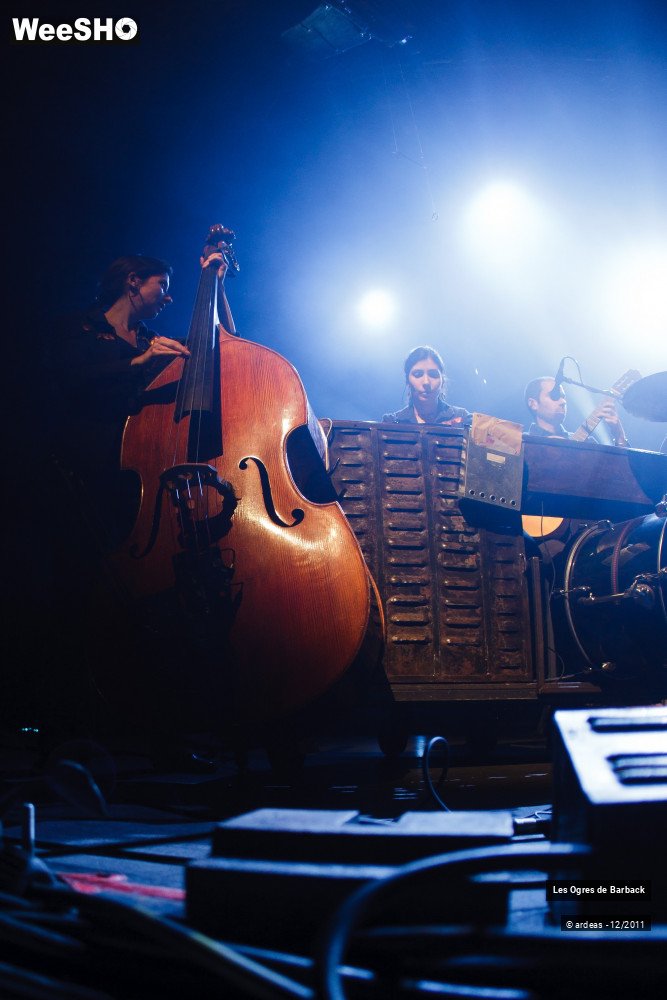 20/29 photos du spectacle Les Ogres de Barback