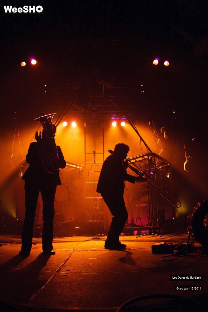 21/29 photos du spectacle Les Ogres de Barback
