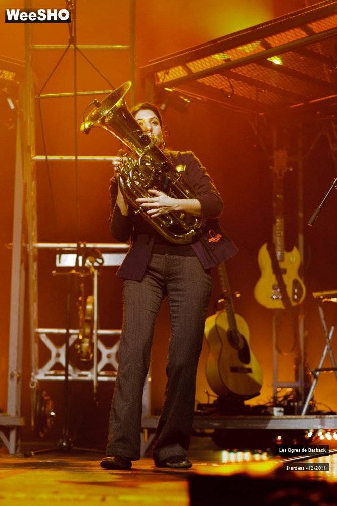 29/29 photos du spectacle Les Ogres de Barback