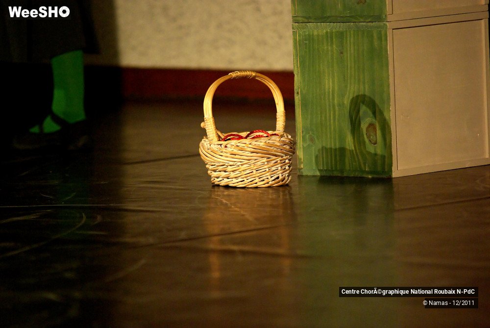 15/27 photos du spectacle Loup y es-tu ?