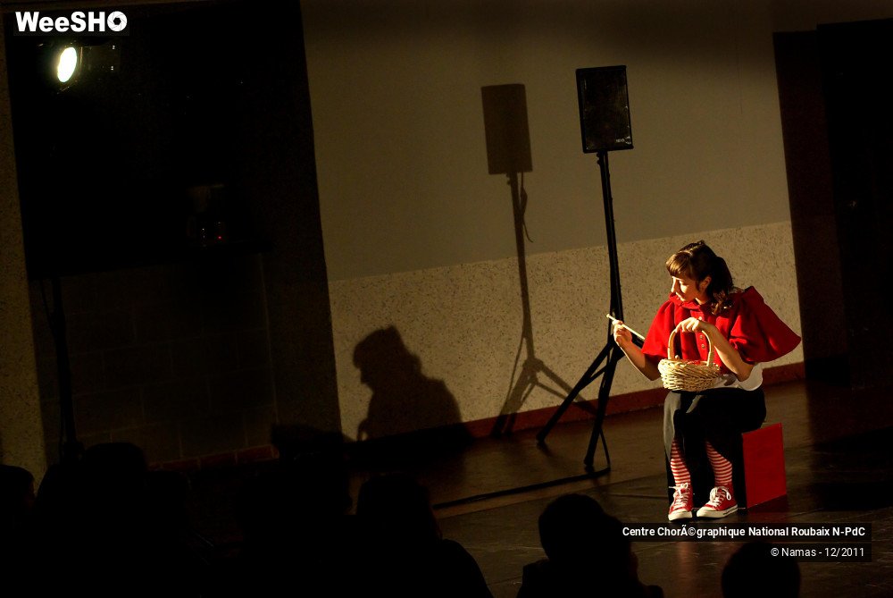 16/27 photos du spectacle Loup y es-tu ?