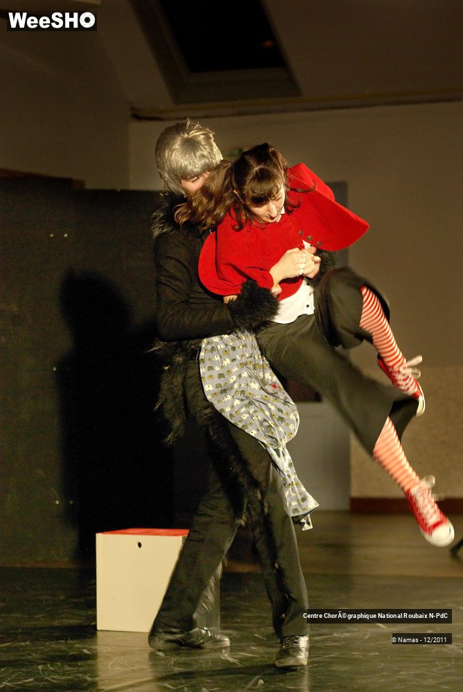 24/27 photos du spectacle Loup y es-tu ?