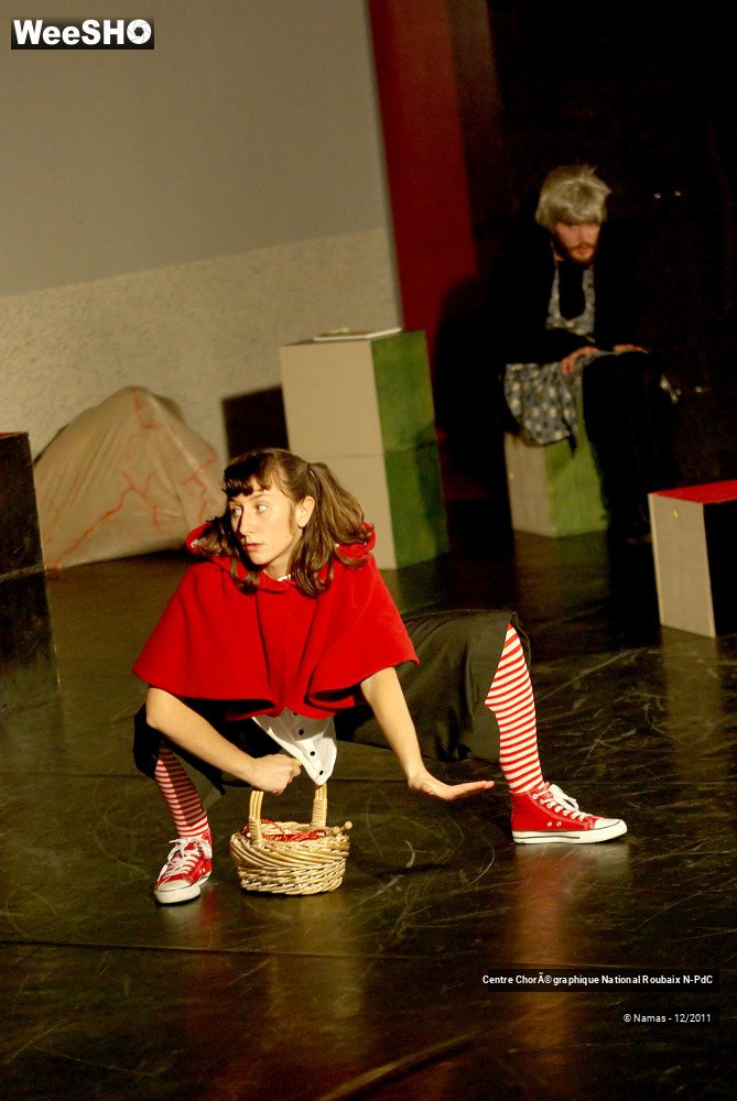 26/27 photos du spectacle Loup y es-tu ?