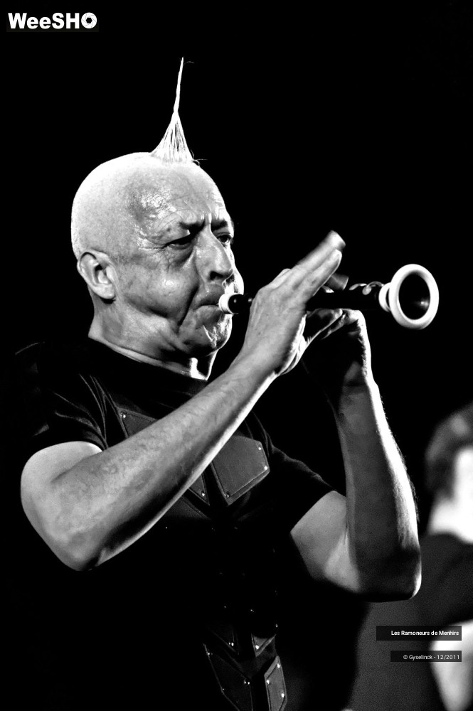 5/44 photos du spectacle Les Ramoneurs de Menhirs