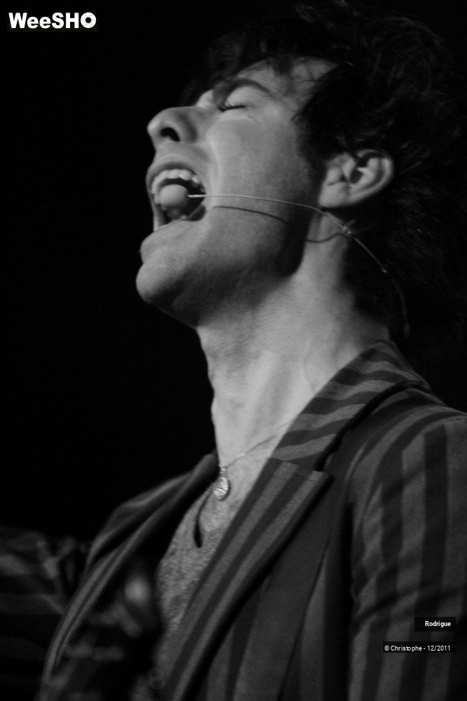 30/41 photos du spectacle Rodrigue
